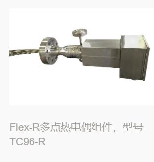 Flex-R多點熱電偶組件，型號TC96-R