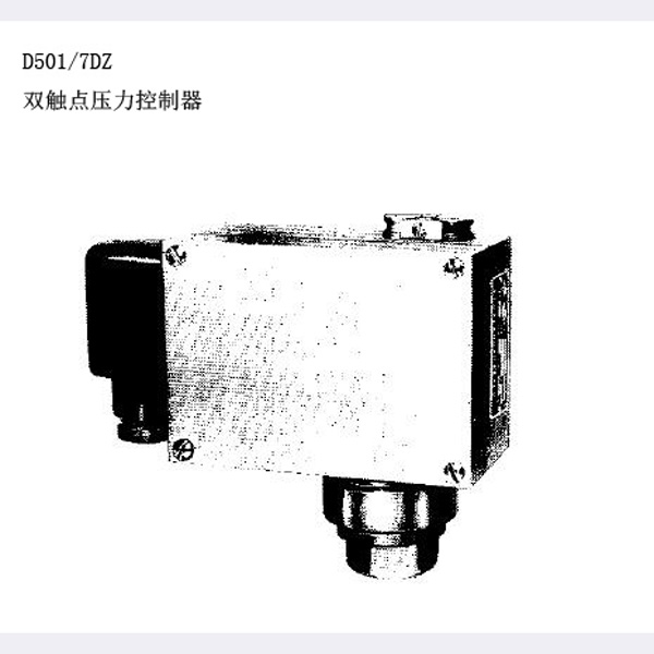 D501/7DZ雙觸點(diǎn)壓力控制器